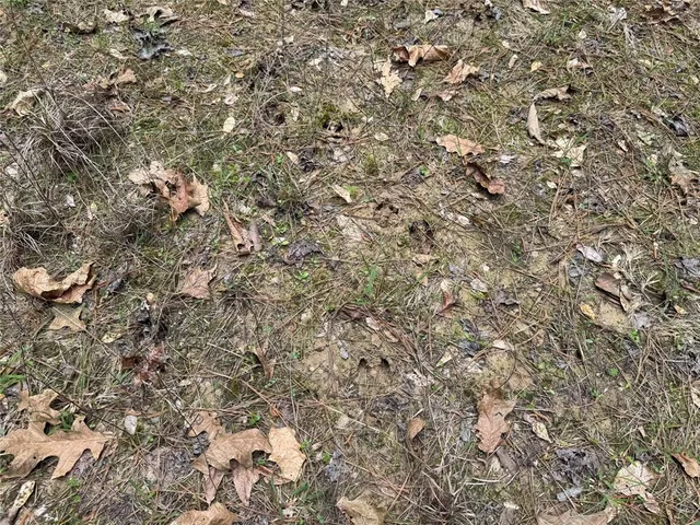 a view of a balcony with an outdoor space