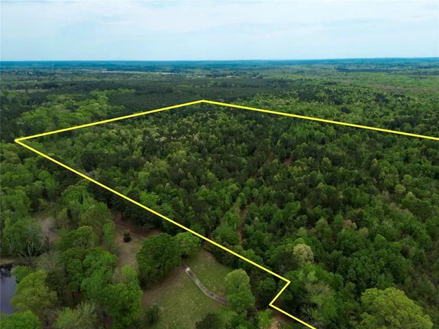 a view of outdoor space and trees