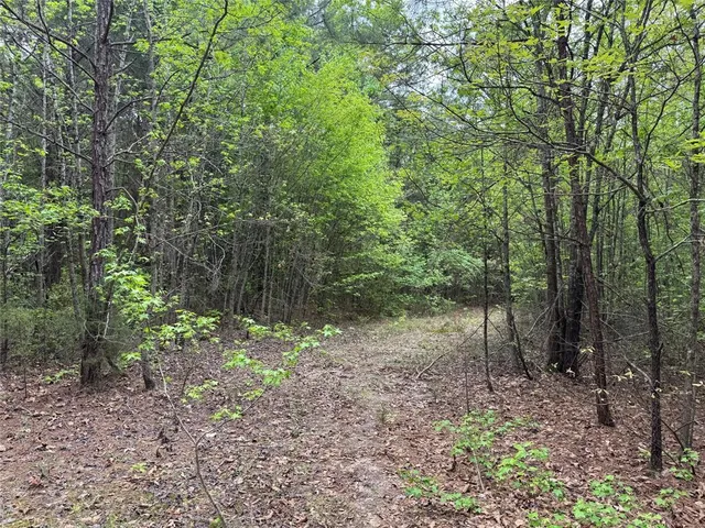 a view of outdoor space and green space