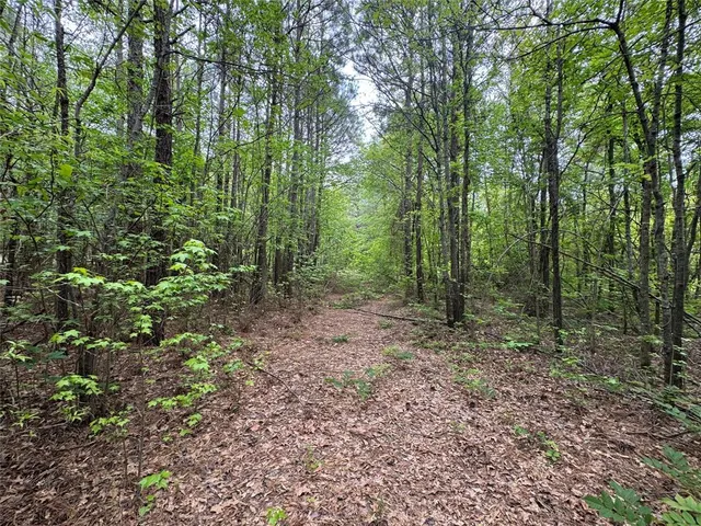 a view of outdoor space and trees