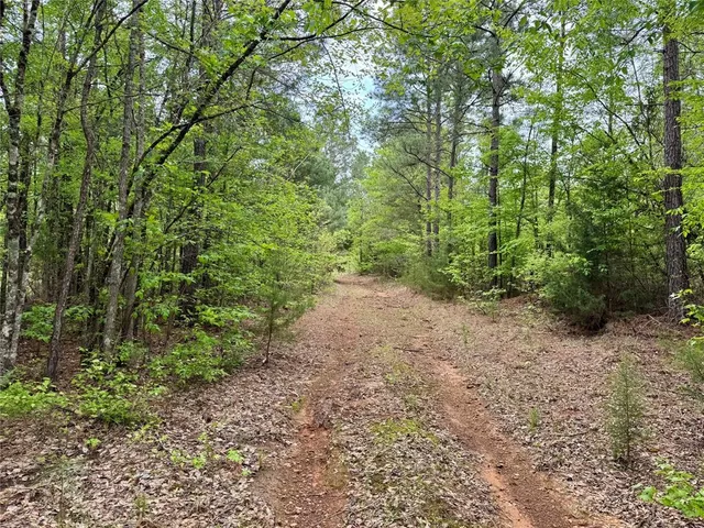 a big yard with lots of green space and deers