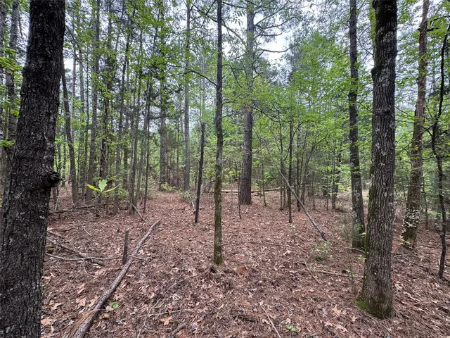 a view of outdoor space and green space