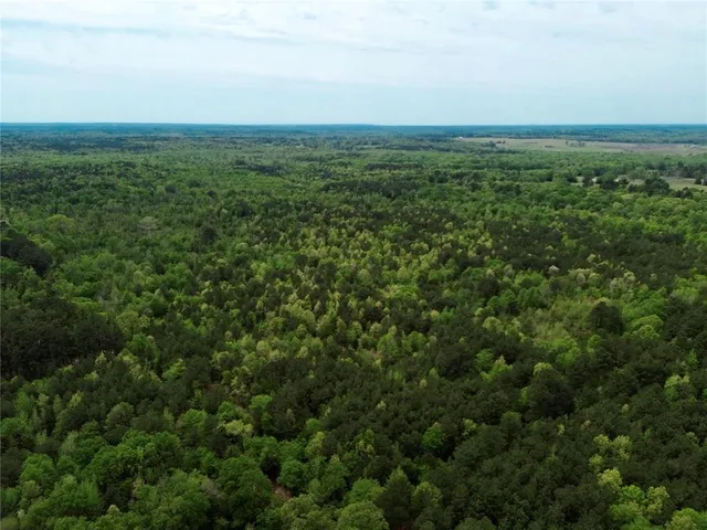 a view of a bird bath