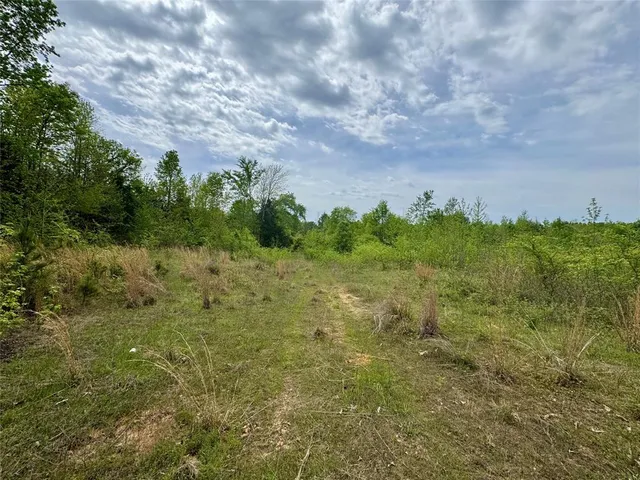 a view of a field of grass and trees