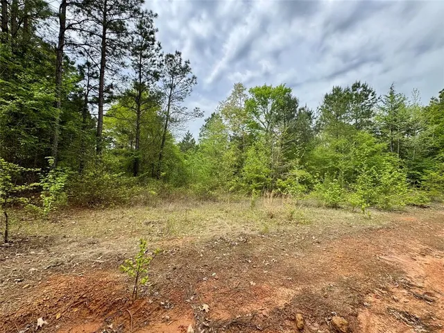a view of a yard with plants and trees