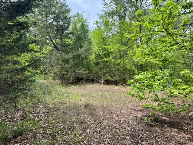 a view of a yard with a tree