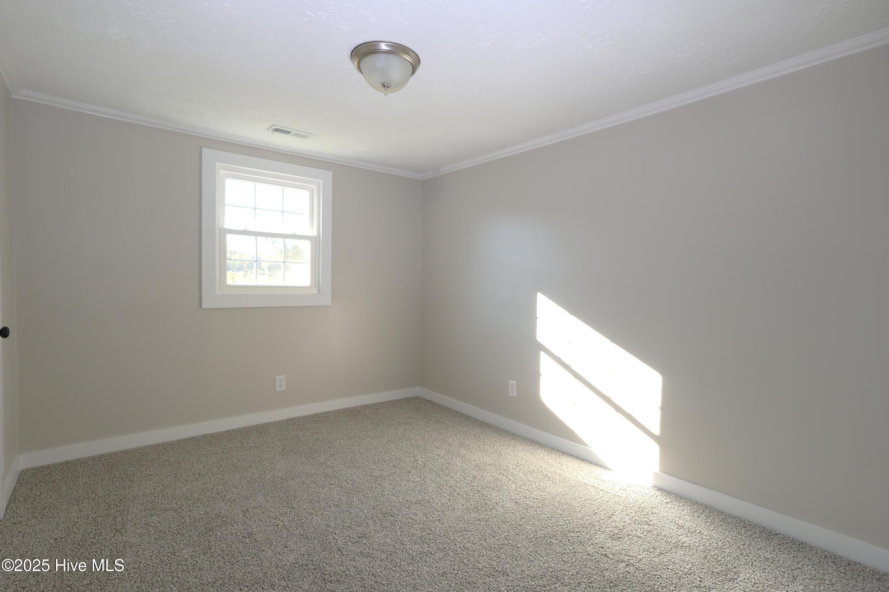 1638 Kellum Loop Road Jacksonville, NC 28546 - Photo 18 of 22 bed 3