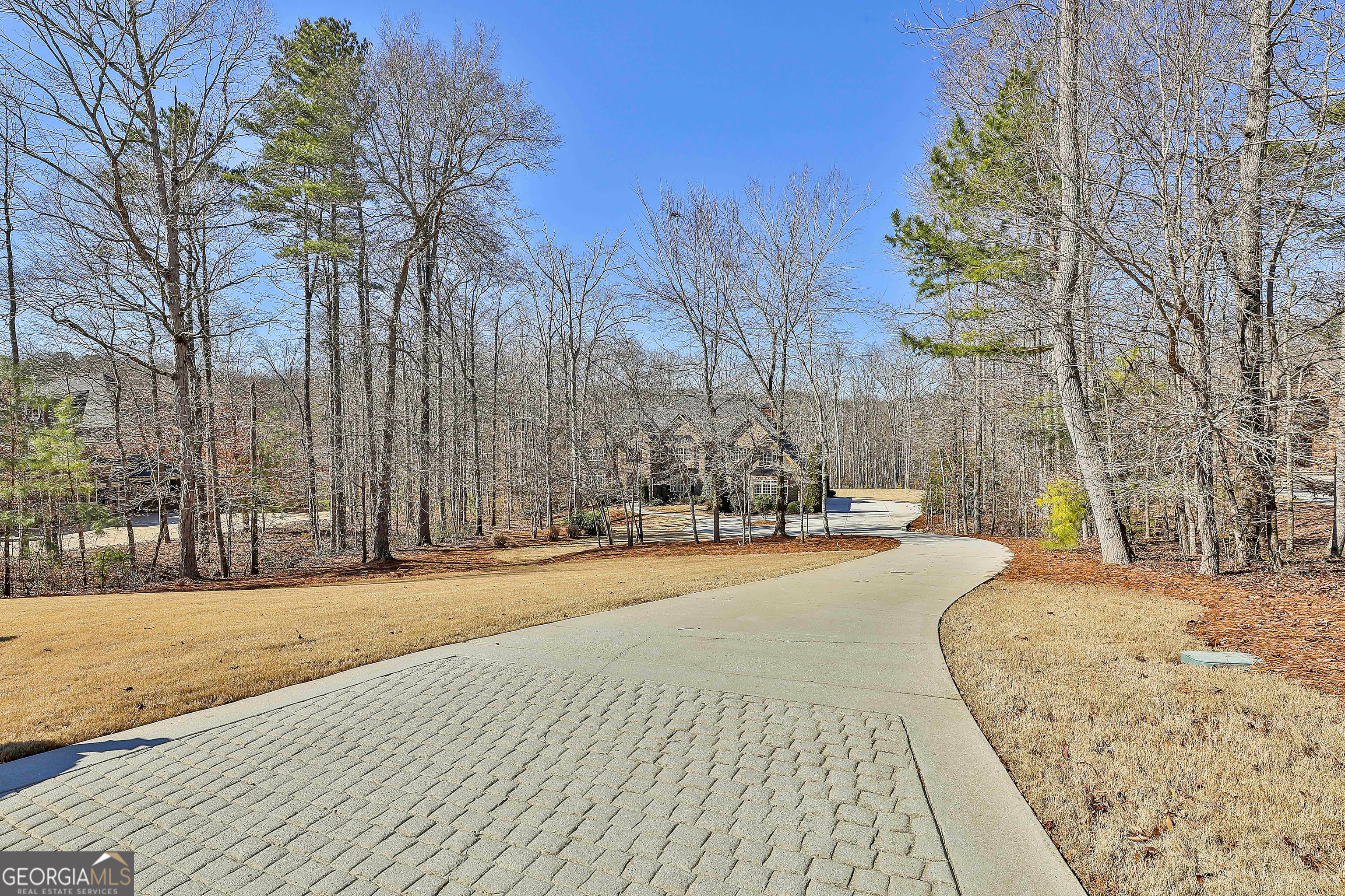 35 Fern Leaf Way Newnan, GA 30265 - Photo 4 of 112