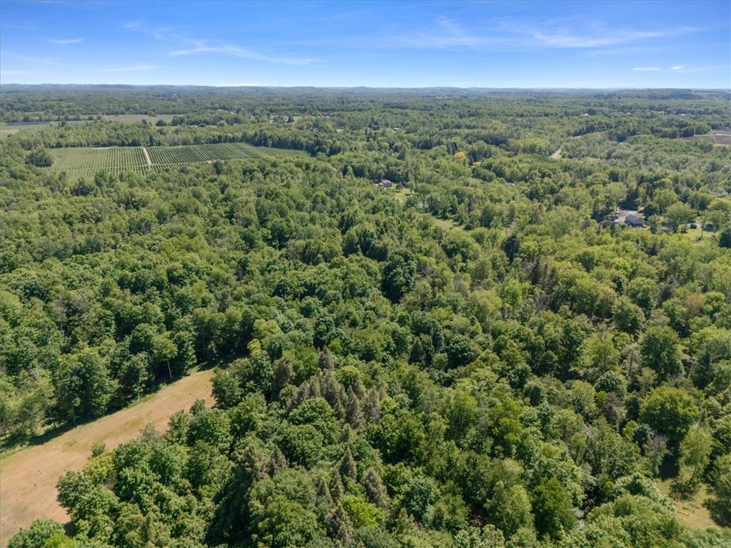 Geneva Road Sodus, NY 14551 - Photo 19 of 34