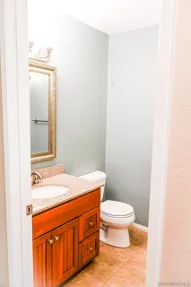 a bathroom with a sink a toilet and mirror