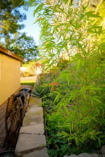 a view of a pathway both side of building