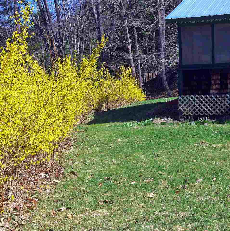 65 Hi Lo Biddy Road Putney, VT 05346 - Photo 14 of 24