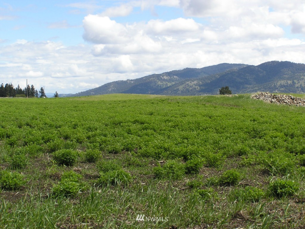 466 Nealey Road Oroville, WA 98844 - Photo 11 of 15 Gallery Image 11
