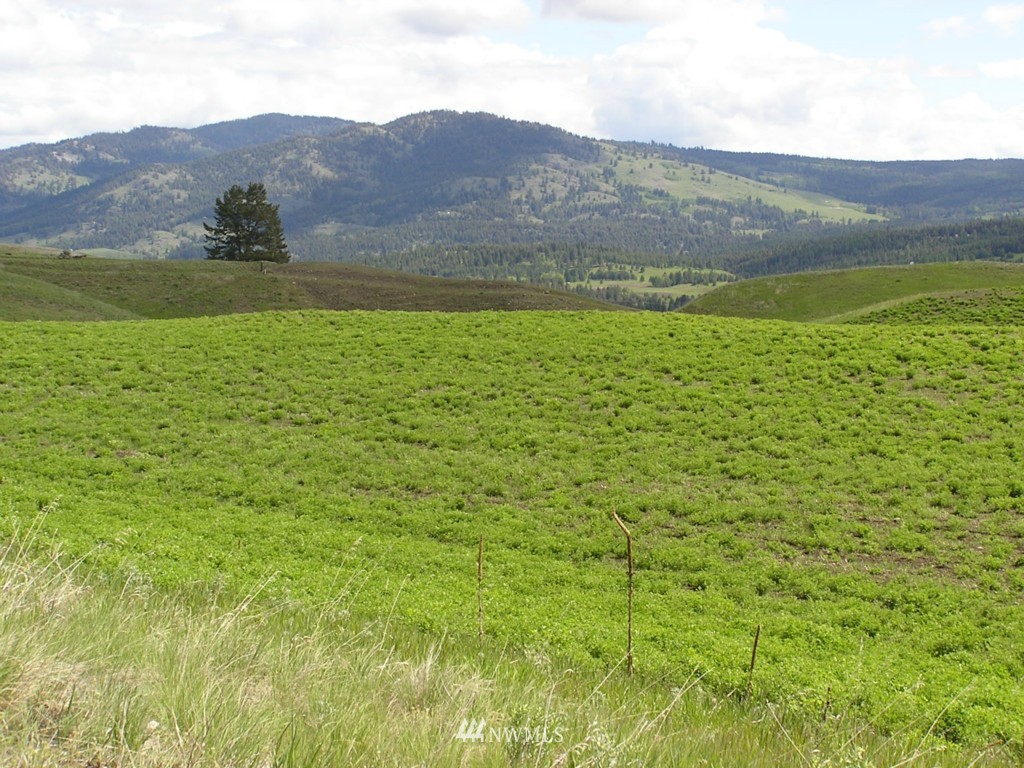 466 Nealey Road Oroville, WA 98844 - Photo 13 of 15 Gallery Image 13