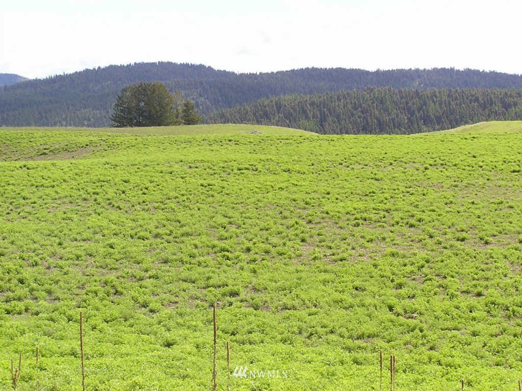 466 Nealey Road Oroville, WA 98844 - Photo 14 of 15 Gallery Image 14