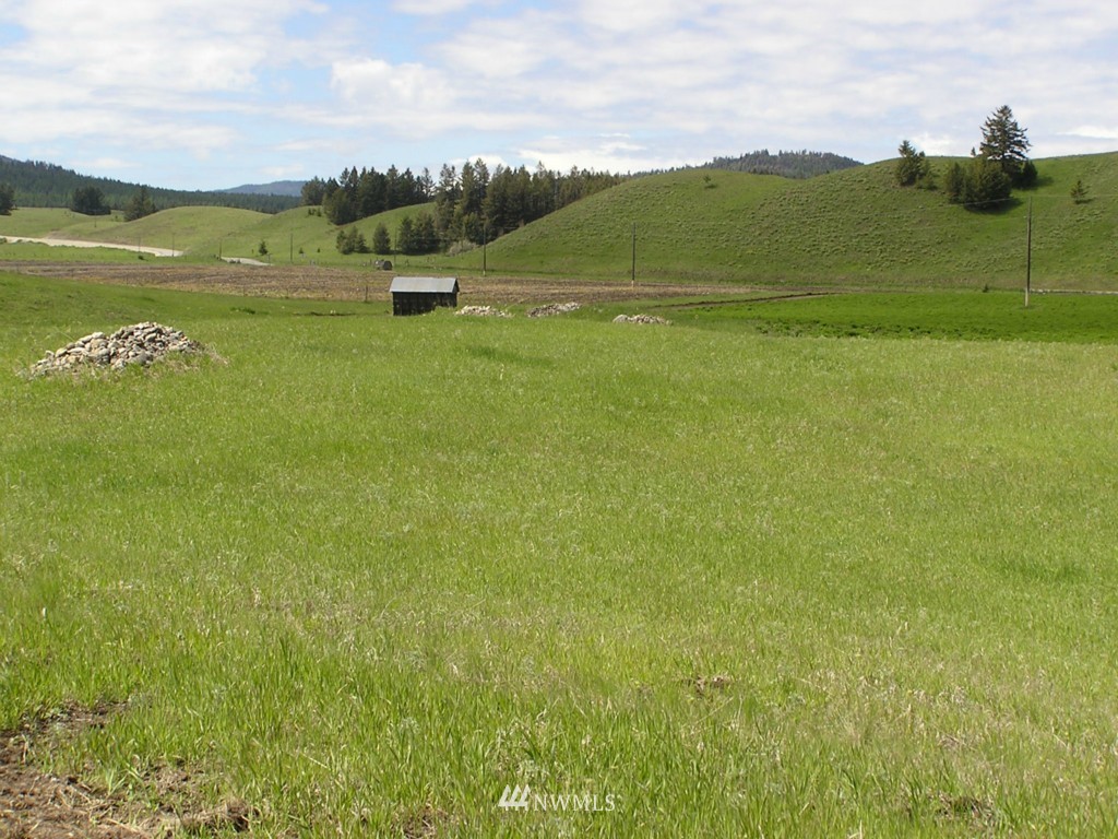 466 Nealey Road Oroville, WA 98844 - Photo 15 of 15 Gallery Image 15
