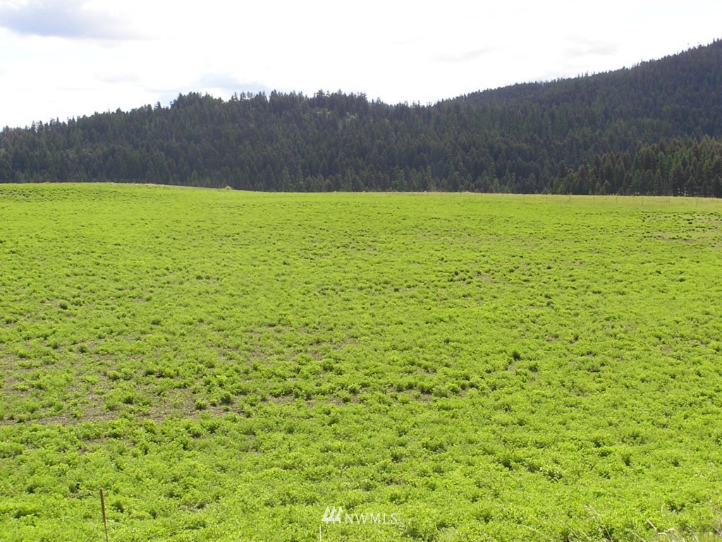 466 Nealey Road Oroville, WA 98844 - Photo 3 of 15 Gallery Image 3