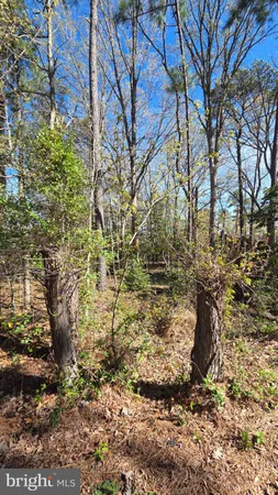 $174,000 | Touhey Drive, Stevensville, MD 21666