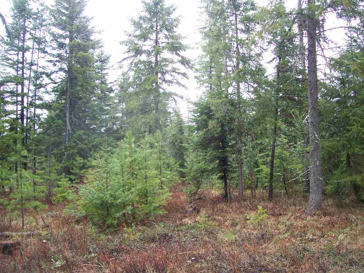 0 Elmers Loop Elk, WA 99009 - Photo 1 of 9 Gallery Image 1