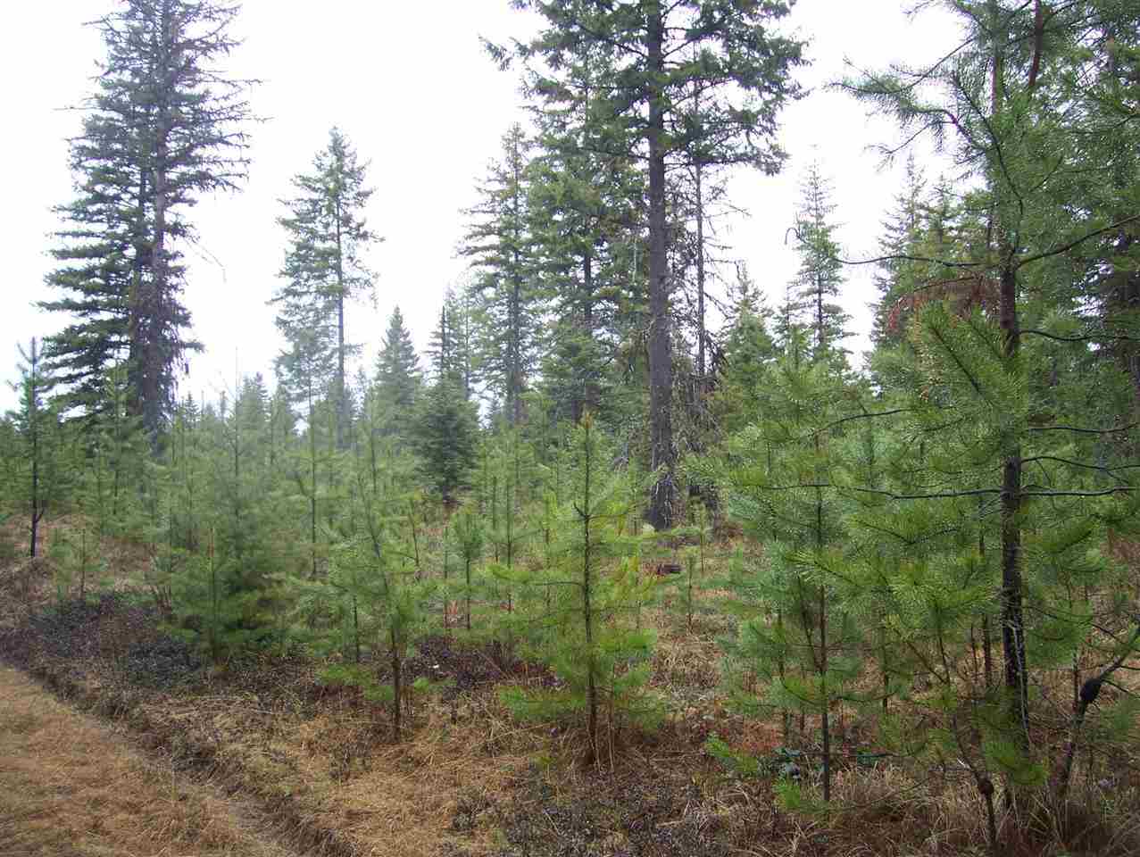 0 Elmers Loop Elk, WA 99009 - Photo 3 of 9 Gallery Image 3