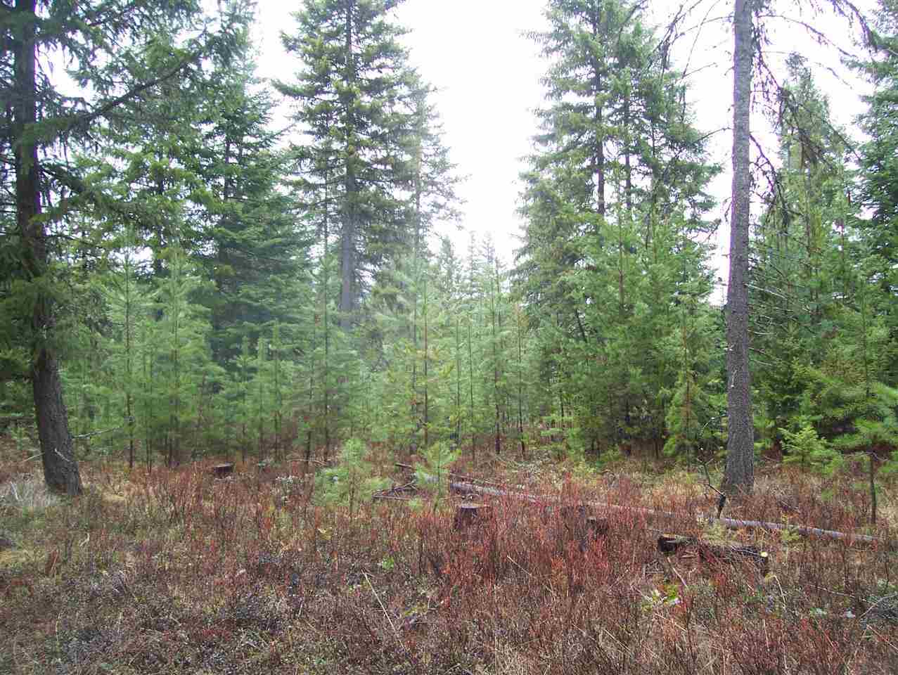 0 Elmers Loop Elk, WA 99009 - Photo 4 of 9 Gallery Image 4