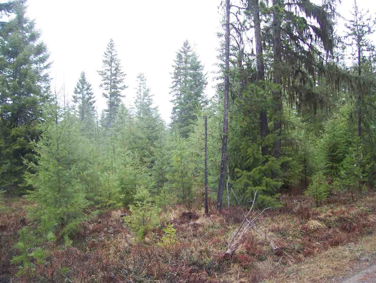 0 Elmers Loop Elk, WA 99009 - Photo 6 of 9 Gallery Image 6