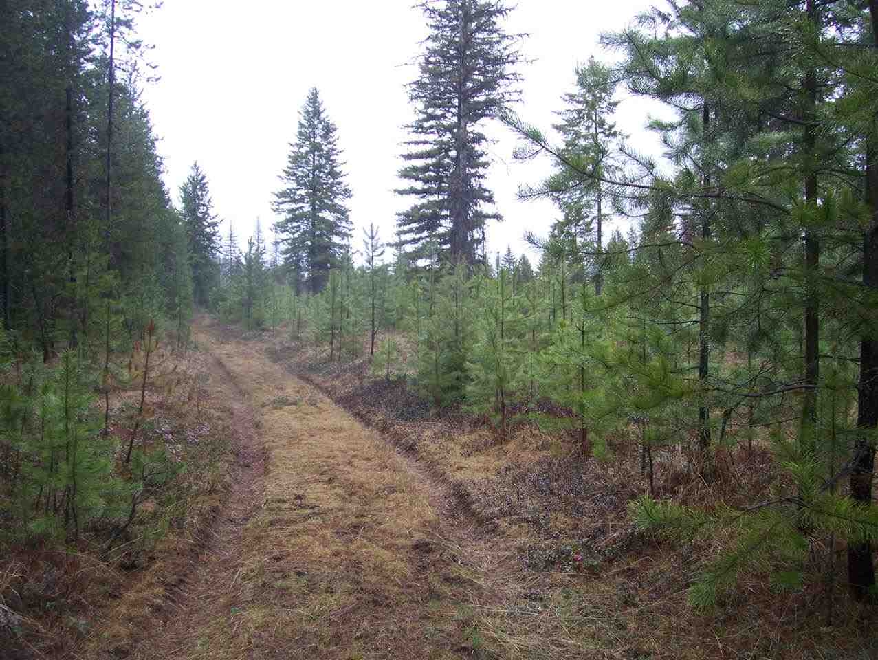 0 Elmers Loop Elk, WA 99009 - Photo 7 of 9 Gallery Image 7