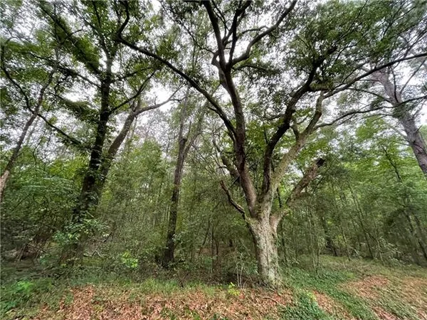 $145,000 | 0 Bruhl Road, Folsom, LA 70437