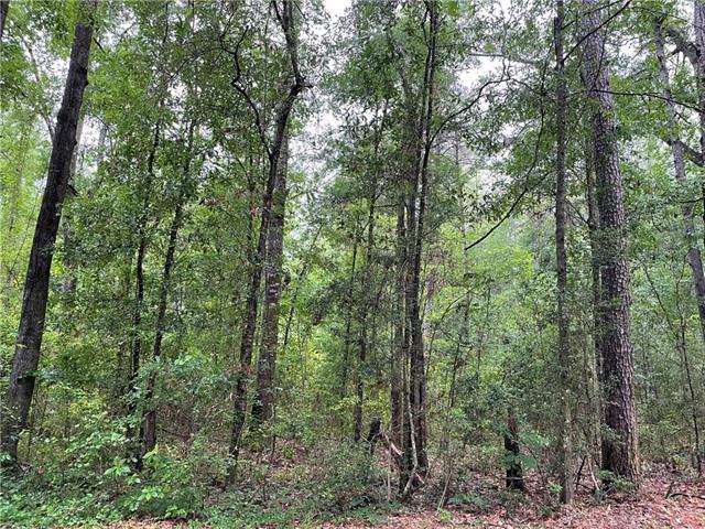 0 Bruhl Road Folsom, LA 70437 - Photo 11 of 11