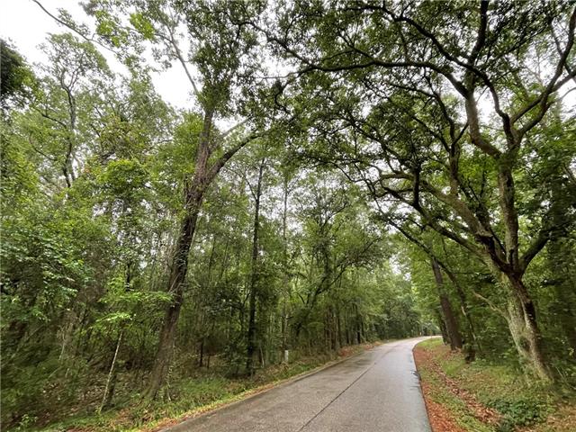 0 Bruhl Road Folsom, LA 70437 - Photo 2 of 11