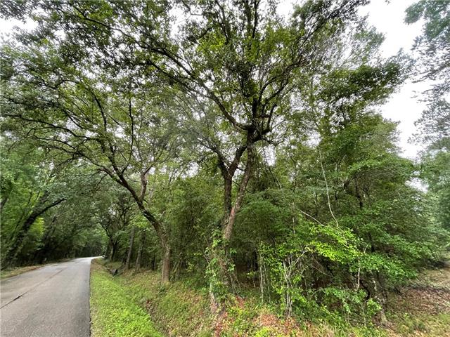 0 Bruhl Road Folsom, LA 70437 - Photo 3 of 11