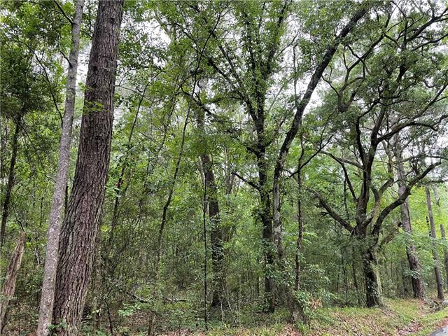 0 Bruhl Road Folsom, LA 70437 - Photo 5 of 11