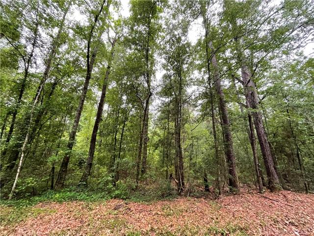 0 Bruhl Road Folsom, LA 70437 - Photo 9 of 11