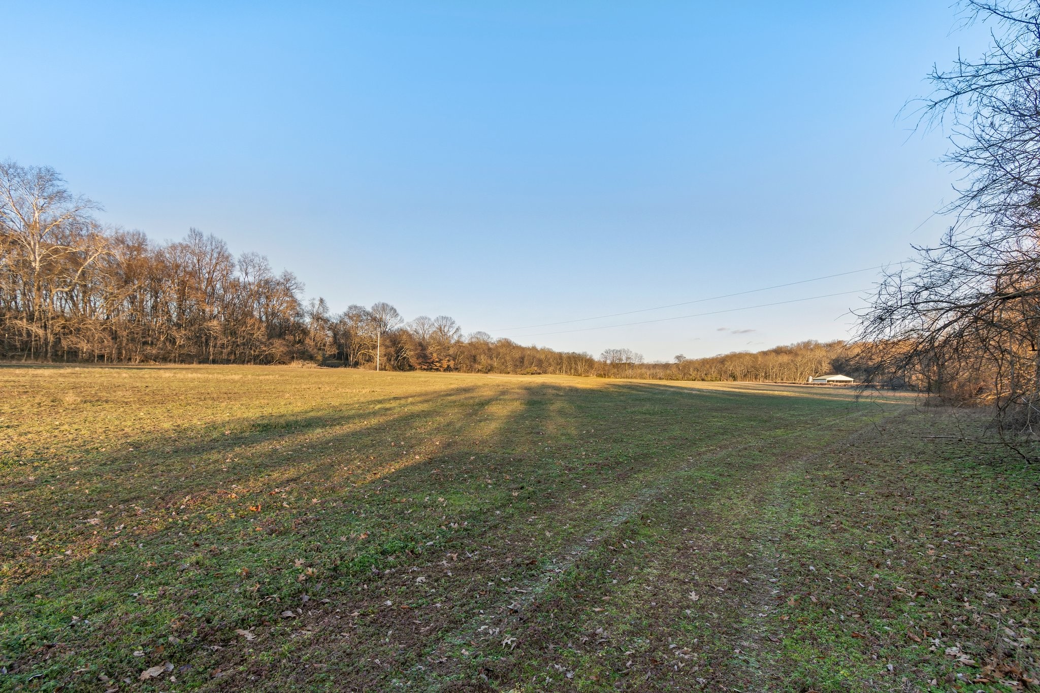 0 Craig Bridge Road Williamsport, TN 38487 - Photo 19 of 21