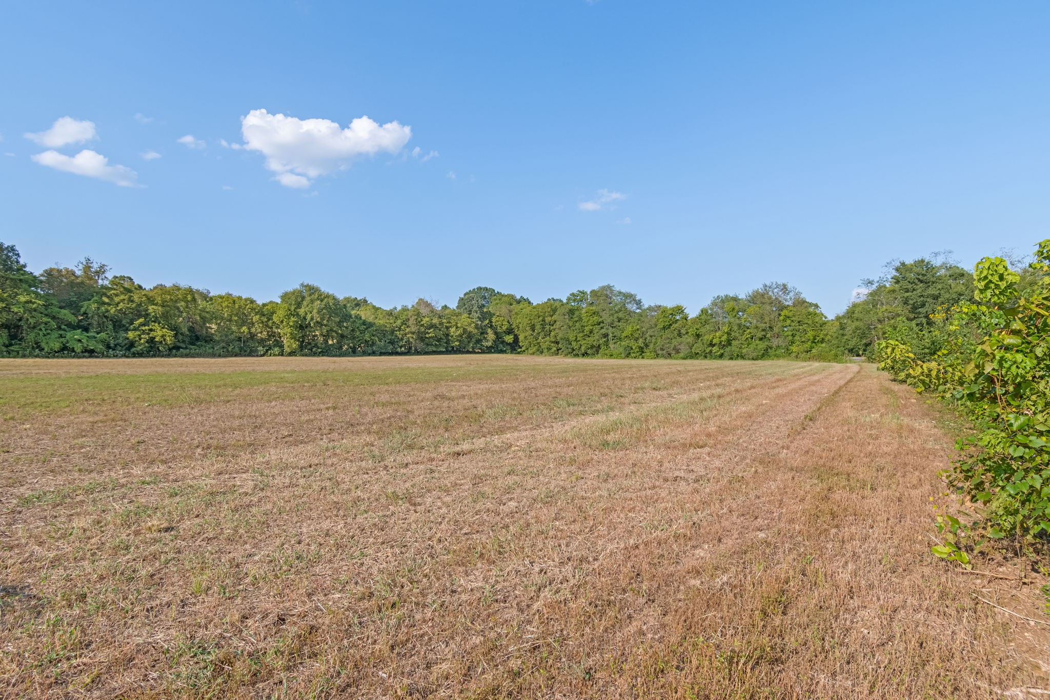 0 Craig Bridge Road Williamsport, TN 38487 - Photo 6 of 21