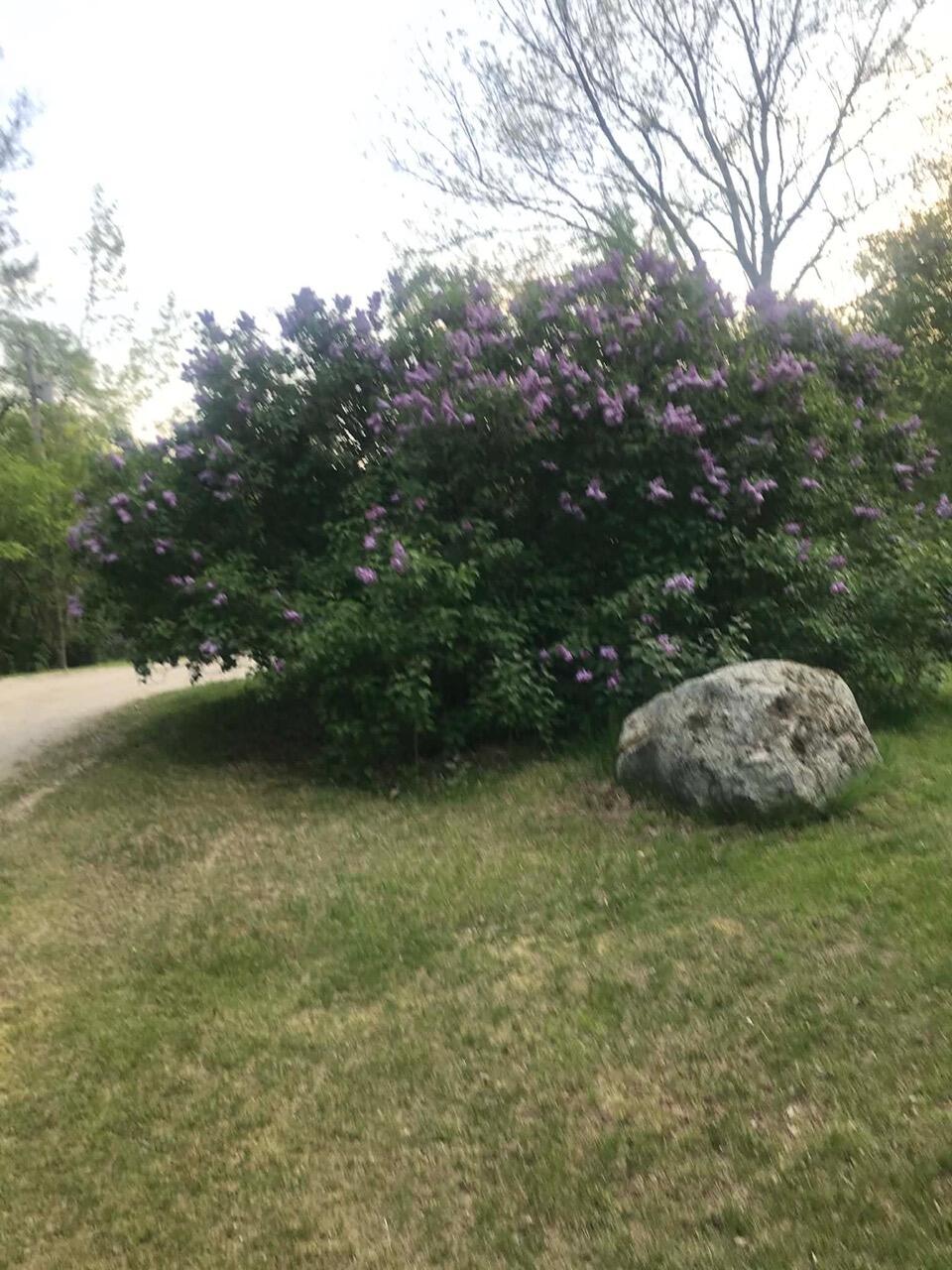 150 Mt Hunger Road West Edgecomb, ME 04556 - Photo 25 of 26 IMG_3920