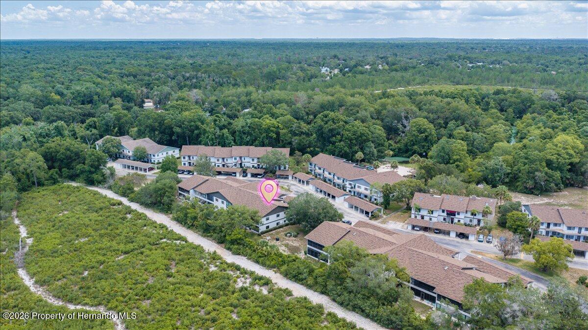 6653 River Run Boulevard Weeki Wachee, FL 34607 - Photo 38 of 55