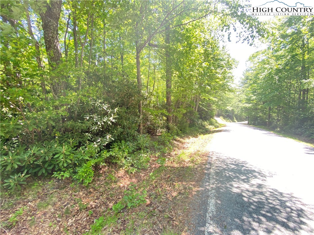 Lot 10 Little Laurel Road Boone, NC 28607 - Photo 3 of 3 a view of yard