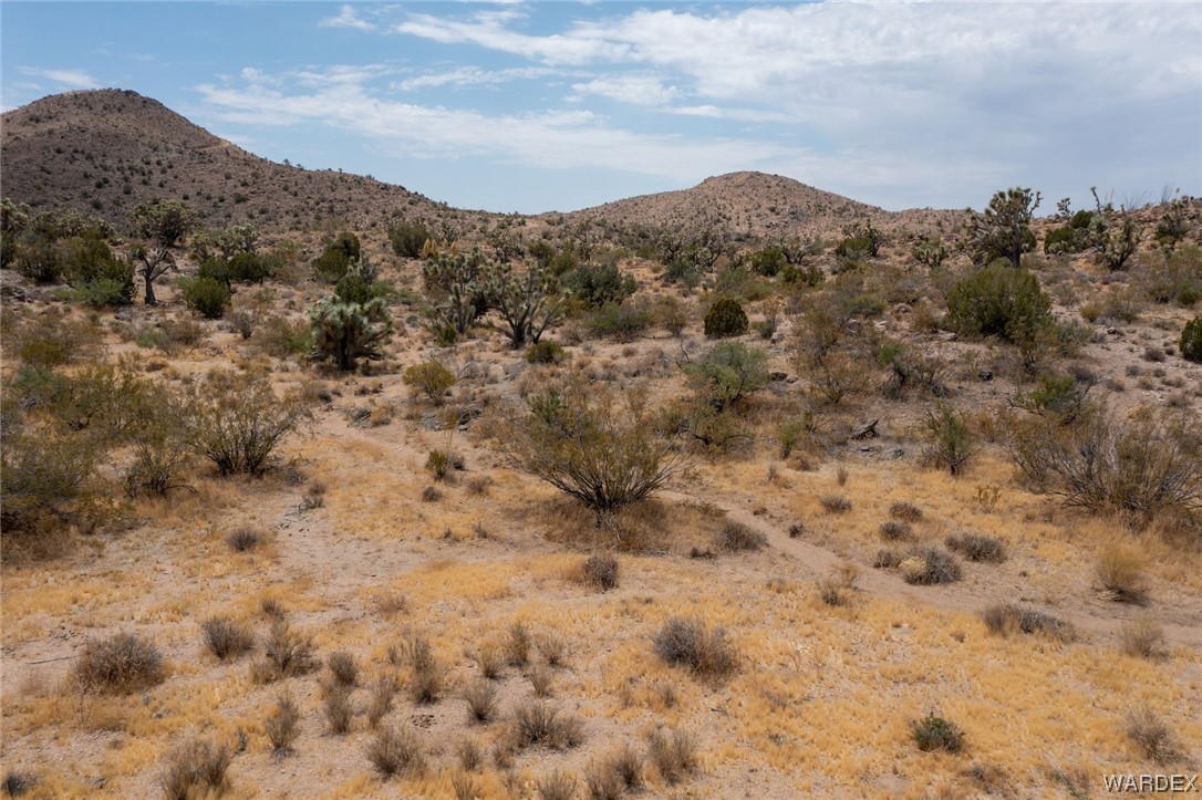 0 Yucca Road Yucca, AZ 86438 - Photo 3 of 45 a view of a dry field with mountains in the background