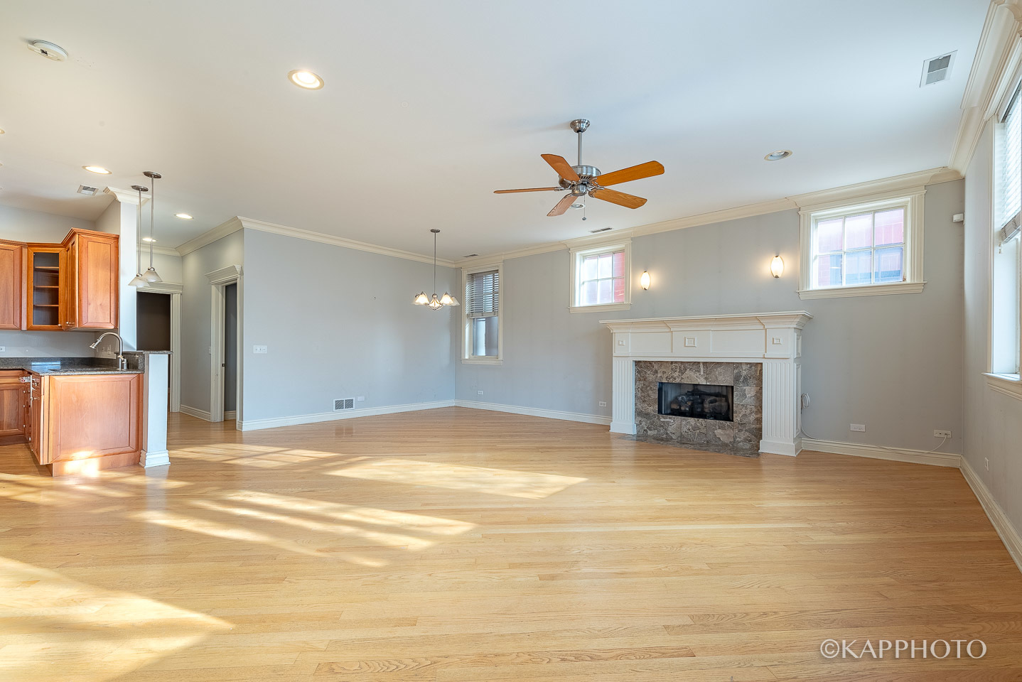 35 South Racine Avenue, Unit 2SE Chicago, IL 60607 - Photo 3 of 27 a view of a kitchen with a sink and a fireplace