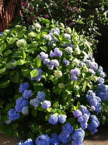 $638,000 | 25 Robinhood Road, Nashua, NH 03062