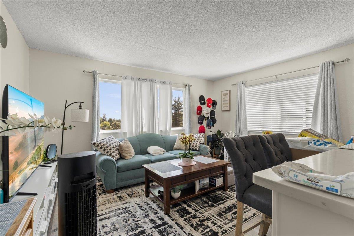 616 Canyon Road Redwood City, CA 94062 - Photo 3 of 11 a living room with furniture a flat screen tv and a window