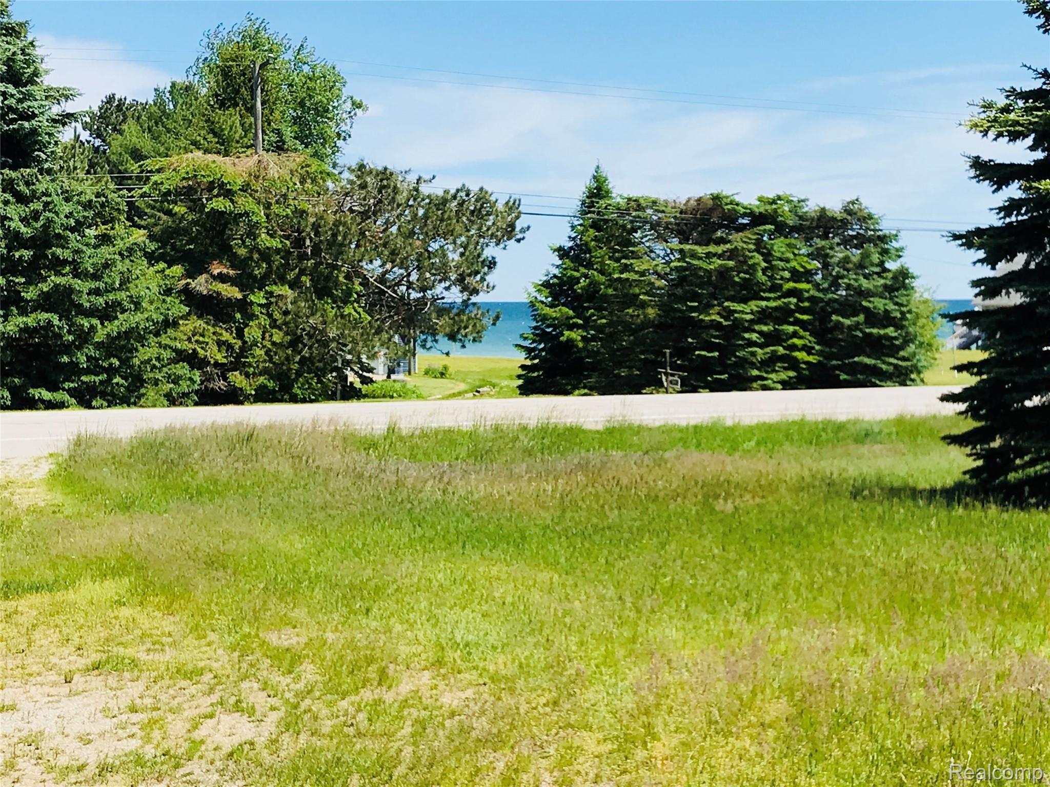 4045 Lakeshore Road Deckerville, MI 48427 - Photo 4 of 20 IMG_2159.jpg