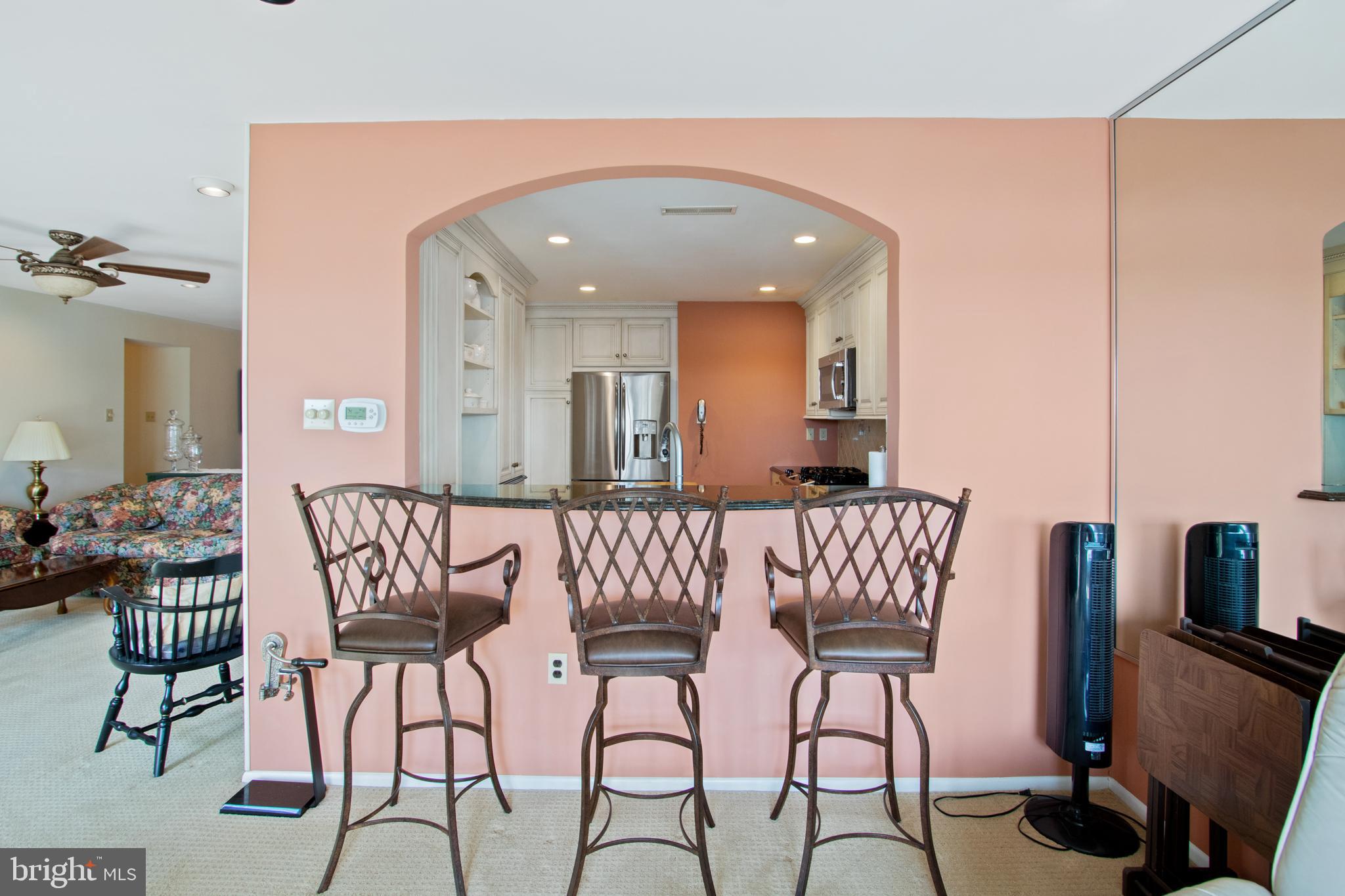 5100 Convent Lane, Unit 604 Philadelphia, PA 19114 - Photo 12 of 30 Breakfast bar