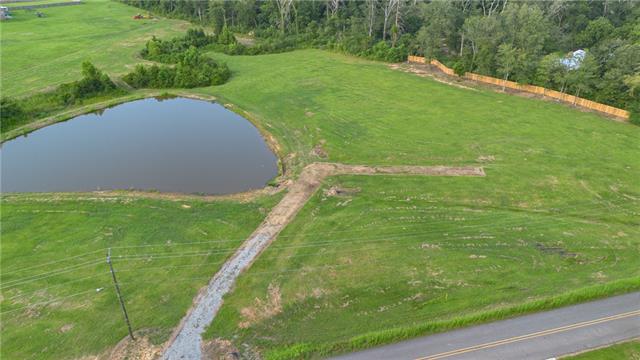 1207 Hwy Deville La Deville, LA 71328 - Photo 8 of 17