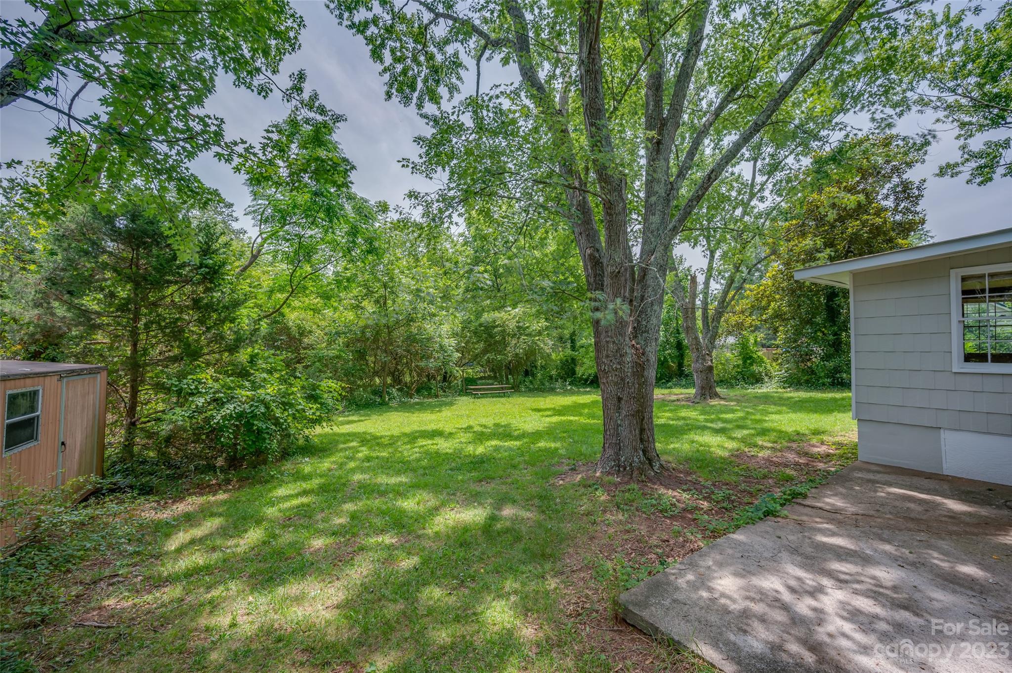 1034 Old Stonecutter Road Rutherfordton, NC 28139 - Photo 26 of 27 a view of a backyard with large trees