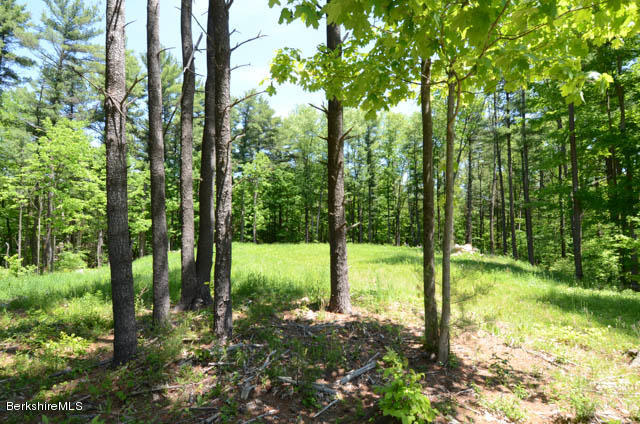 2 Stoneledge Road Lenox, MA 01240 - Photo 3 of 7 2 Stoneledge View to the east from st