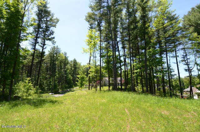 2 Stoneledge Road Lenox, MA 01240 - Photo 4 of 7 2 Stoneledge View to the west