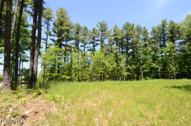 2 Stoneledge Road Lenox, MA 01240 - Photo 5 of 7 2 Stoneledge View to the north
