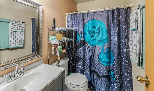 a bathroom with a toilet a sink and a shower curtain